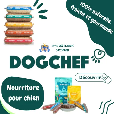 Banniere dog chef